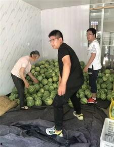 常州医院吃瓜,揭秘背后真相与争议  第2张