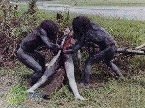 群聊吃瓜恐怖故事,吃瓜引发的恐怖故事揭秘  第1张