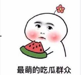 吃瓜群众李生生  第3张