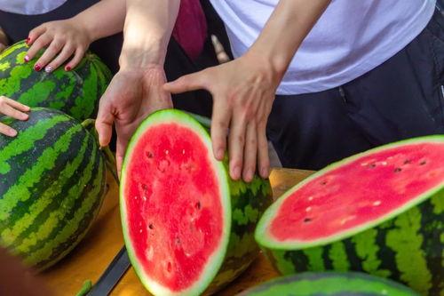 各大高校的吃瓜,揭秘校园里的那些“吃瓜”事件  第3张