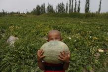 吃瓜群众岱岱 文章,一篇引人入胜的深度文章 第2张 吃瓜群众岱岱 文章,一篇引人入胜的深度文章 第2张