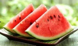 喜剧大赛吃瓜新鲜的瓜  第2张