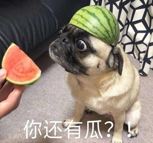 带你吃瓜抖音,抖音热门事件深度解析