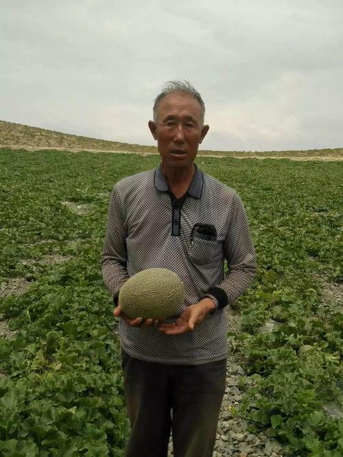 林冉办吃瓜,揭秘娱乐圈幕后故事