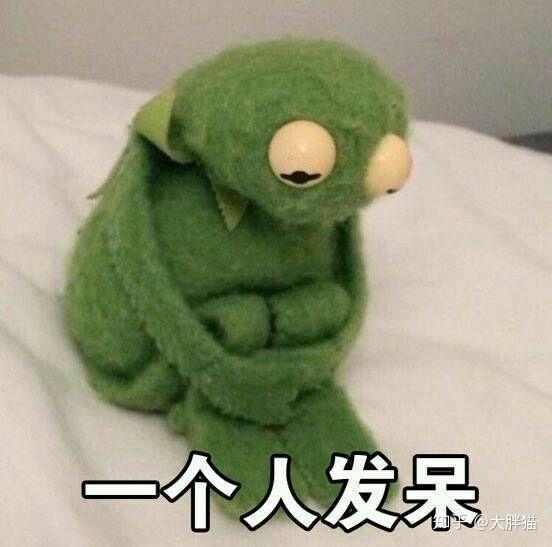 吃瓜青蛙上线抢镜,抢镜成为网络新宠 第3张 吃瓜青蛙上线抢镜,抢镜成为网络新宠 第3张