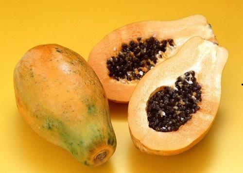 吃瓜的木瓜,揭秘吃瓜木瓜的独特魅力