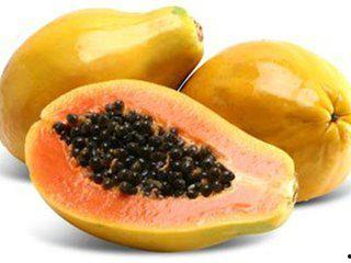 吃瓜的木瓜,揭秘吃瓜木瓜的独特魅力 第2张 吃瓜的木瓜,揭秘吃瓜木瓜的独特魅力 第2张