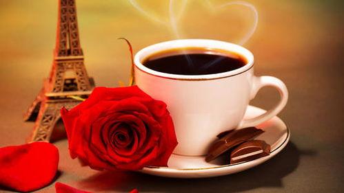 吃瓜群众玫瑰咖啡派对