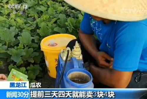 穿越嘎嘎吃瓜起点