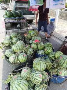 上饶玉山吃瓜事件  第2张