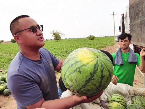 李青平吃瓜  第3张