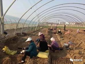 界首 吃瓜  第2张