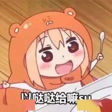 呆瓜须怎样吃,解锁美味新境界