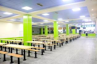 托普学校吃瓜  第3张